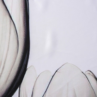 Штора для ванны Доляна &laquo;Моно&raquo; с люверсами, 180&times;180 см