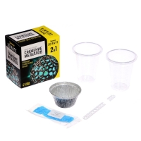 Набор для опытов &laquo;Сражение металлов&raquo;