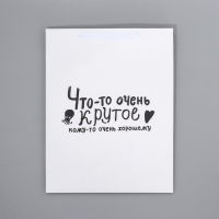 Пакет подарочный ламинированный двухсторонний, упаковка, &laquo;Что-то очень крутое&raquo;, L 40 х 31 х 11,5 см