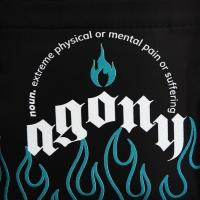 Сумка молодёжная на длинном ремне Agony, 20 х 15 х 3 см, отдел на молнии, цвет чёрный