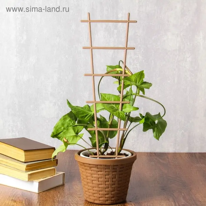 Шпалера, 56 &times; 19 &times; 0.5 см, пластик, цвет МИКС, &laquo;Лесенка&raquo;