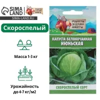 Семена Капуста белокочанная "Июньская", 0,5 г