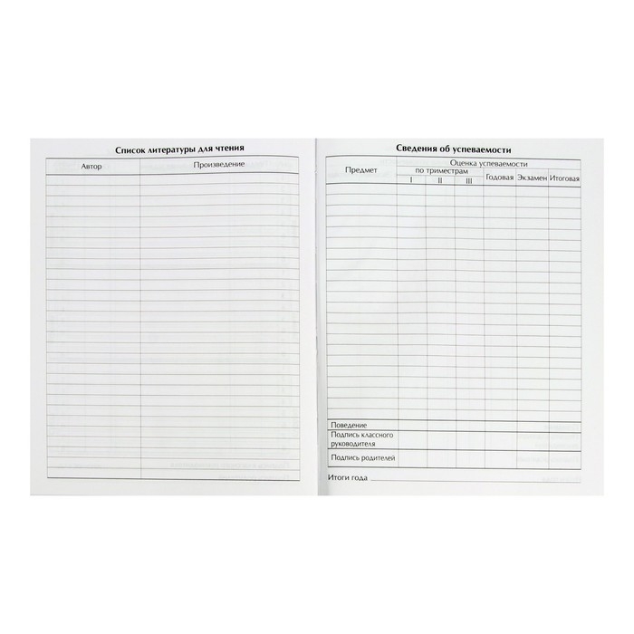 Дневник школьный для 1-11 классов, &laquo;Девочка со скейтом&raquo;, твёрдая обложка 7БЦ, глянцевая ламинация, 40 листов