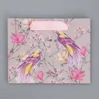 Пакет подарочный крафтовый, упаковка, &laquo;Птицы&raquo;, S 15 х 12 х 5.5 см