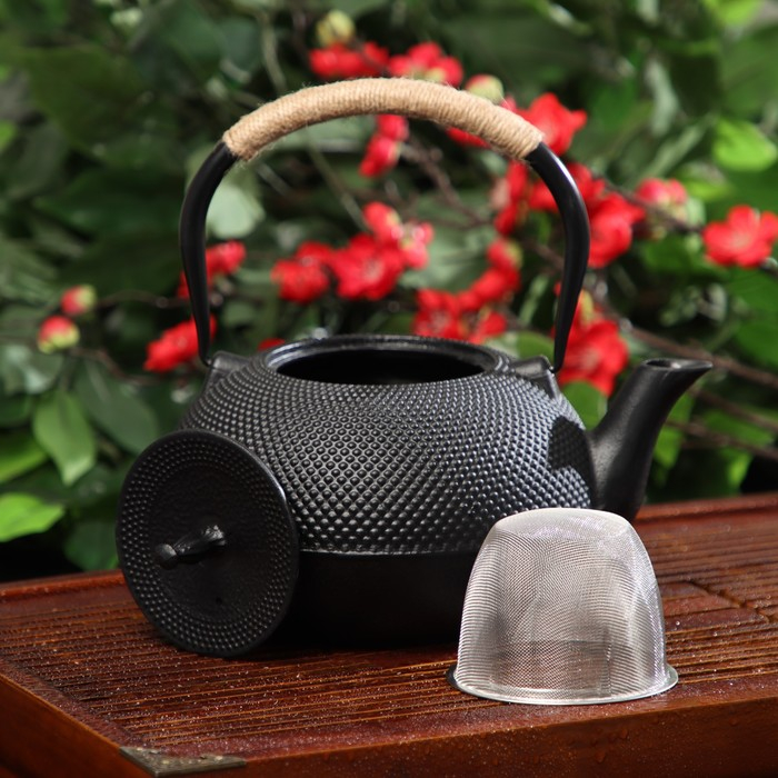 Чайник для плиты чугунный Доляна &laquo;Восточная ночь&raquo;, 1,6 л, с ситом, цвет чёрный