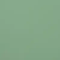 Пленка для цветов тонированная, матовая, светло - зелёная, 57&times;57 см &plusmn;5% см, 65 мкм