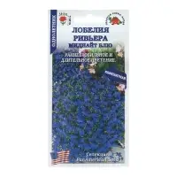 Семена цветов Лобелия Ривьера &laquo;Миднайт Блу&raquo;, 10 шт.