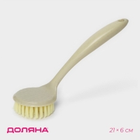 Щётка для посуды Доляна, 21&times;6 см
