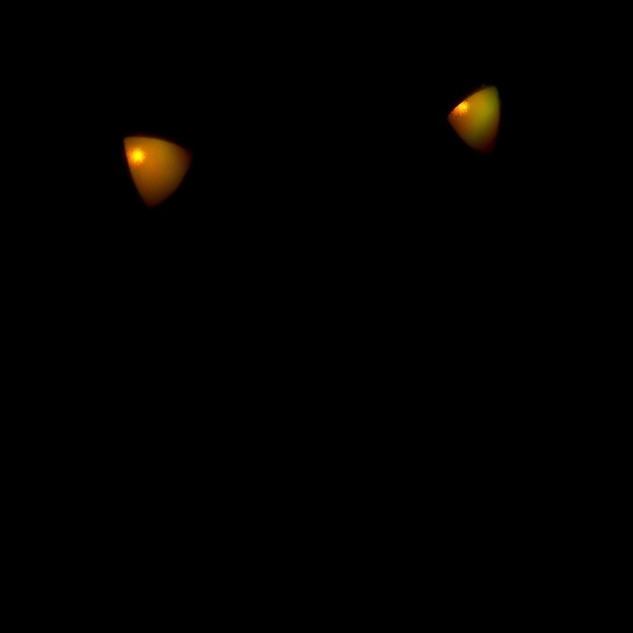 Игровой набор &laquo;Котик&raquo;: микрофон, наушники с ушками