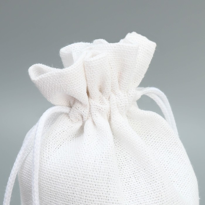 Мешок с термонаклейкой под бутылку &laquo;Шампанское&raquo;, 13 х 31 см +/- 1.5 см, Новый год