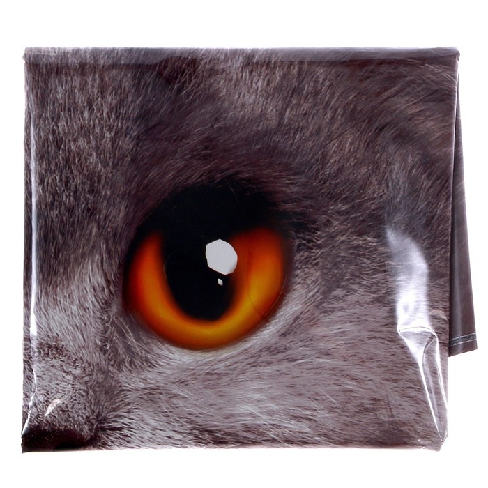 Воздушный шар фольгированный 24" &laquo;Кот &mdash; с днём рождения&raquo;, с подложкой