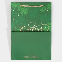 Пакет подарочный новогодний ламинированный &laquo;Яшма&raquo;, 21 х 30 х 15 см, Новый год
