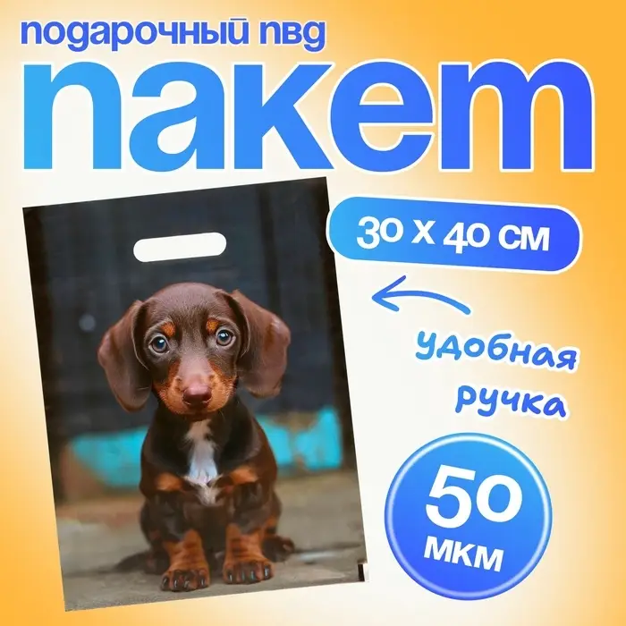 Пакет подарочный &laquo;Милая такса&raquo;, полиэтиленовый с вырубной ручкой, 30&times;40 см 50 мкм