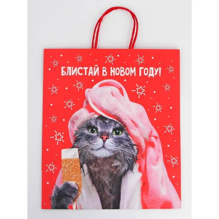 Набор новогодних крафтовых пакетов &laquo;С Новым годом тебя!&raquo;