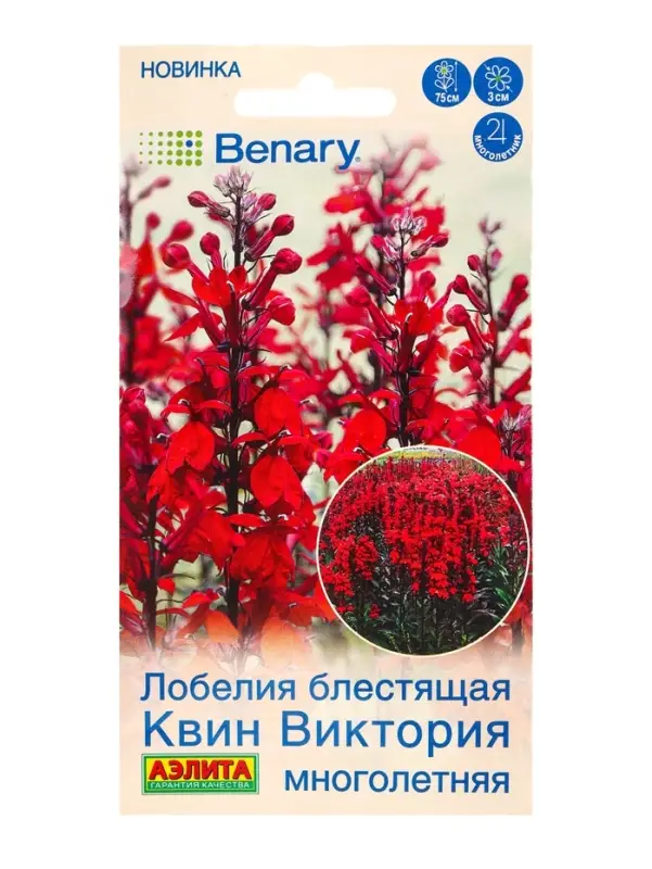 Семена цветов Лобелия многолетняя Квин Виктория Мн (драже в пробирке) Спецсерия Benary, Ц/П,7 шт. 10
