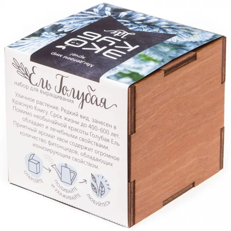 Набор для выращивания &laquo;Экокуб Lite&raquo;, ель голубая
