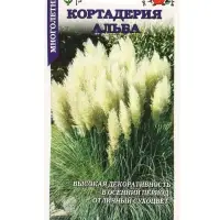 Семена Кортадерия Альба /Сотка/ 25шт/ h-1,8-2м/*500