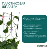 Шпалера, 48 &times; 29 &times; 0.2 см, пластик, зелёная, Greengo