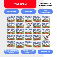 Мемо &laquo;Мир птиц&raquo;