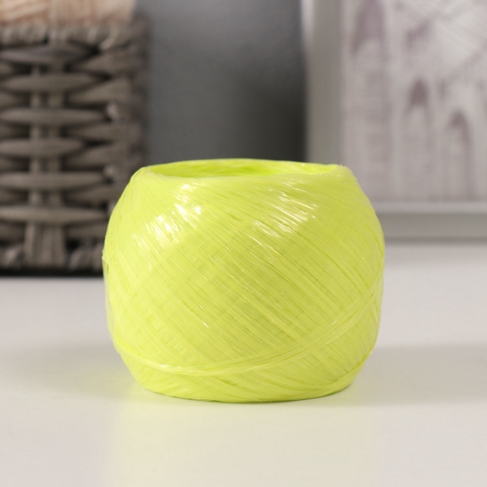 Пряжа "Для вязания мочалок" 100% полипропилен 200м/50&plusmn;10 гр клубок (набор 2 шт МИКС #4)