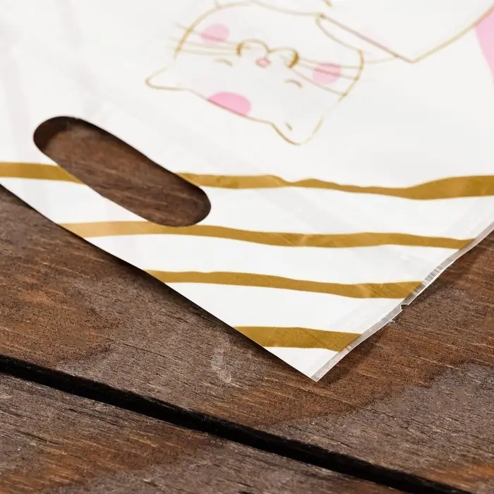 Пакет подарочный, с zip-lock застежкой, 15&times;23 см, МИКС