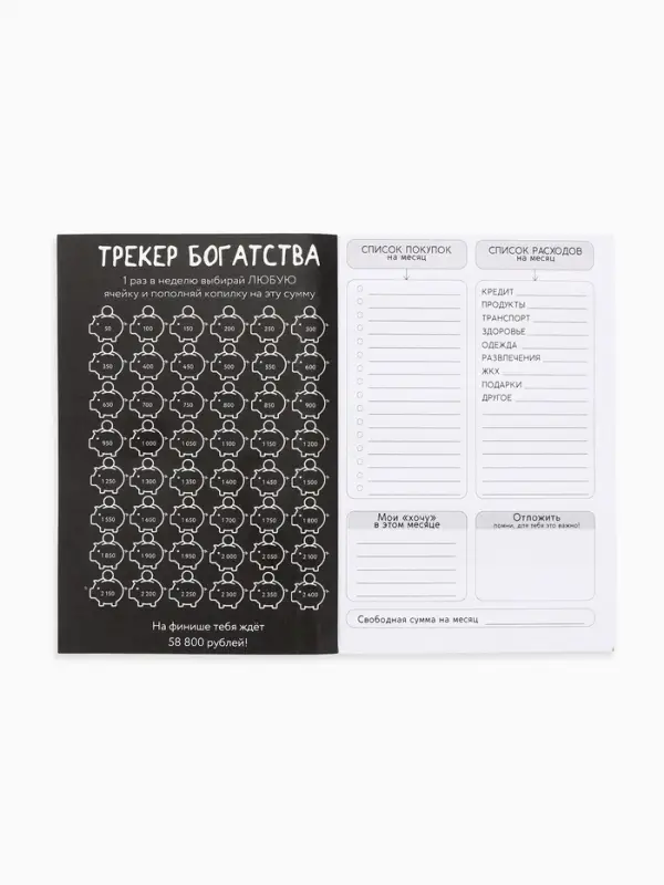 Блокнот для планирования финансов А6, 52 л "Дневник бюджета"