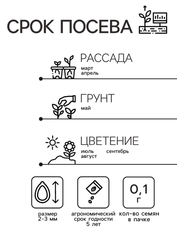 Семена Котовник "Сонник", 0,1 г