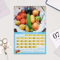 Календарь на пружине без ригеля "Лунный, садово-огородный " 2025 год, 17 х 25 см