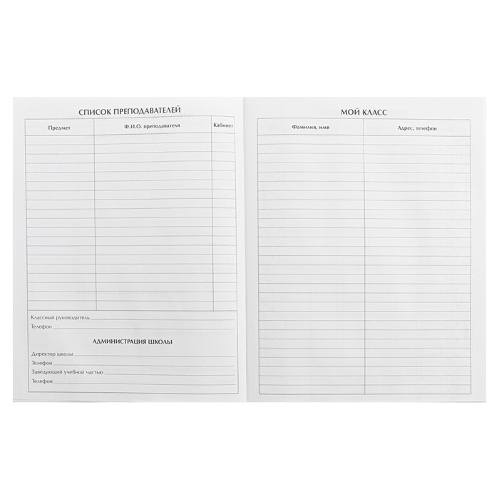 Дневник для 5-11 классов, "Кеды", твердая обложка 7БЦ, глянцевая ламинация, 48 листов