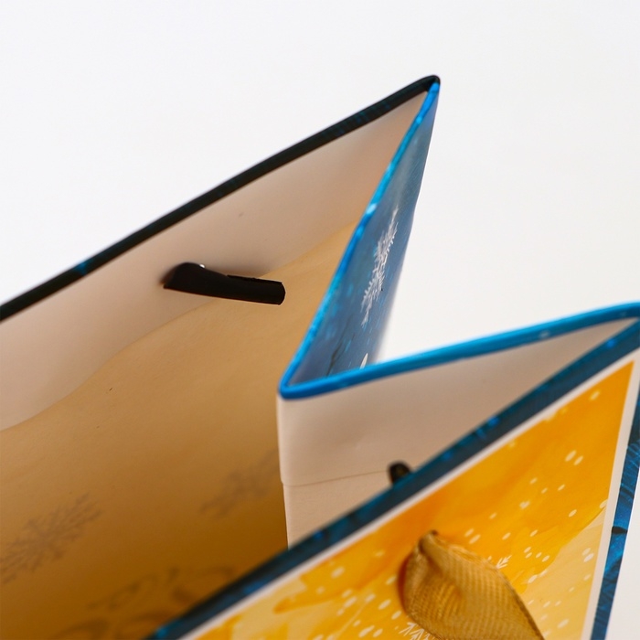 Новый год. Пакет подарочный новогодний под бутылку &laquo;Бант&raquo;, 13 x 36 x 10 см.