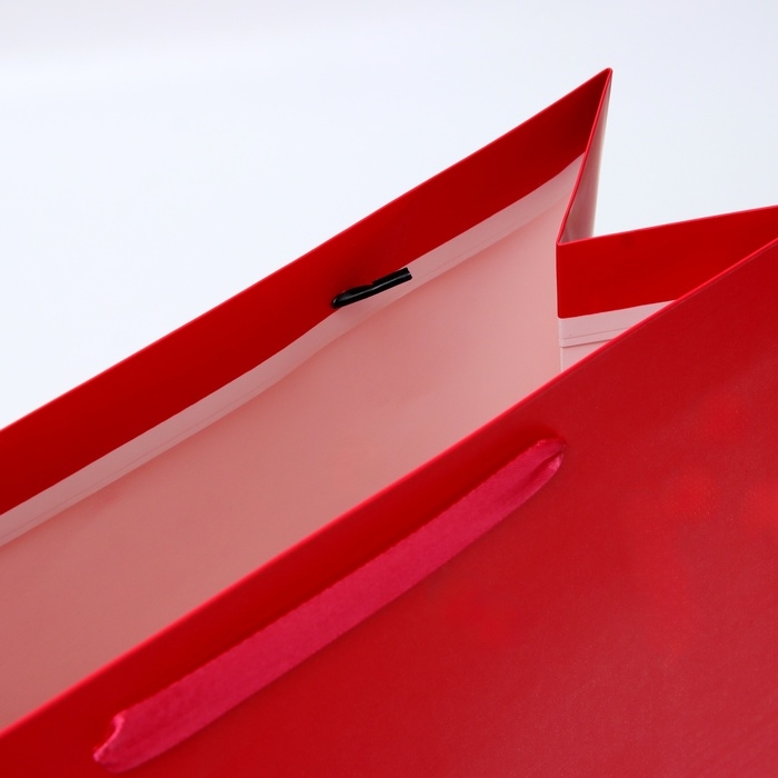 Пакет ламинированный вертикальный &laquo;Фуксия&raquo;, L 31 &times; 40 &times; 14 см