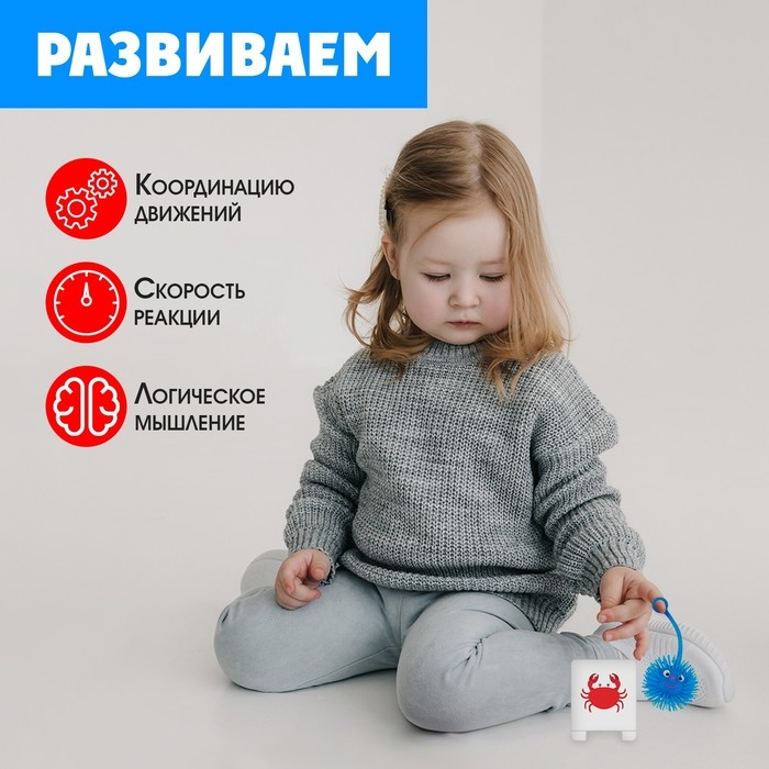 Развивающий набор &laquo;Чудо-ёжики&raquo;, 20 карточек, 3+