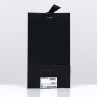 Пакет подарочный с лентой &laquo;Чёрный&raquo;, 13 &times; 23 &times; 7 см