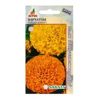 Семена Бархатцы &laquo;Гордая Мэри&raquo;, F1, 5 шт., Sakata, &laquo;Агрос&raquo;