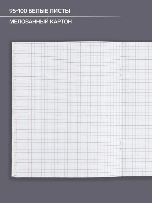 Тетрадь предметная 48 листов в клетку Calligrata &laquo;Животные. Химия&raquo;, обложка мелованный картон