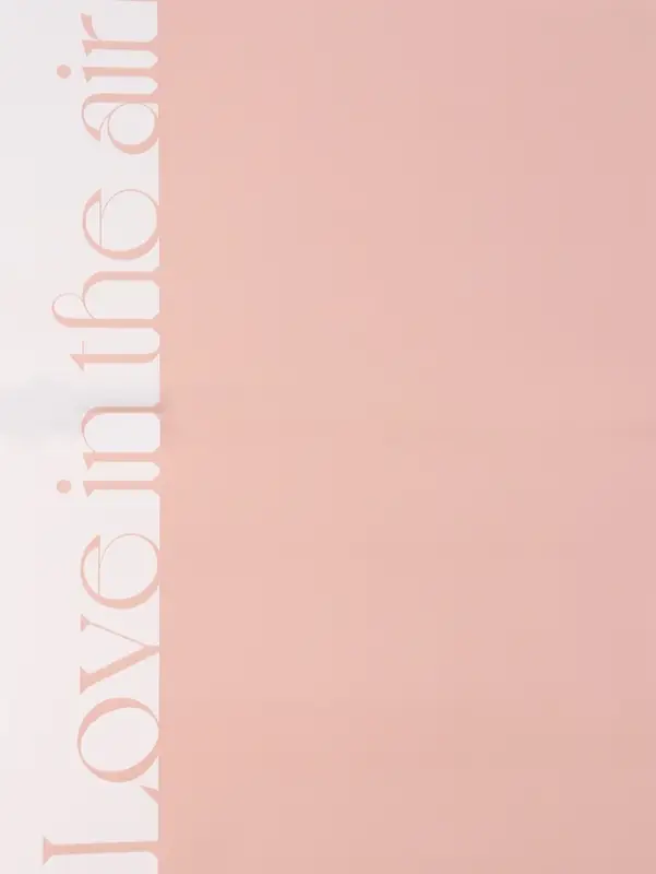 Пленка флористическая, &laquo;Любовь в воздухе&raquo; 65 мкм, розовый 58&times;58 см