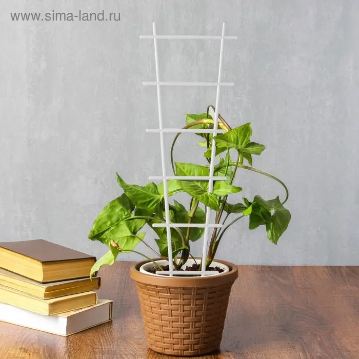 Шпалера, 56 &times; 19 &times; 0.5 см, пластик, цвет МИКС, &laquo;Лесенка&raquo;