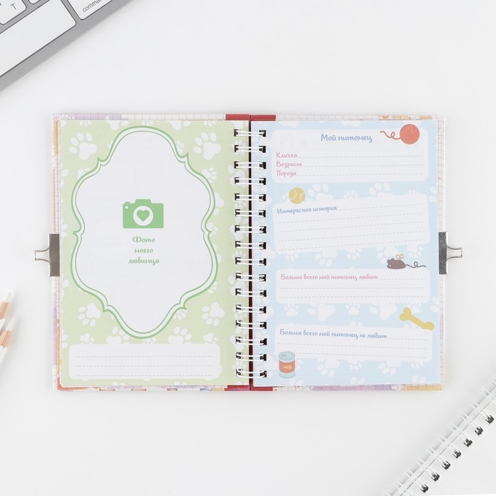 Анкета на замочке, в твердой обложке А6, 40 листов &laquo;Мои школьные друзья&raquo;