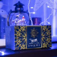 Гирлянда &laquo;Бахрома&raquo; 3 &times; 0.6 м, IP44, УМС, белая нить, 160 SMD-LED, свечение синее, 220 В