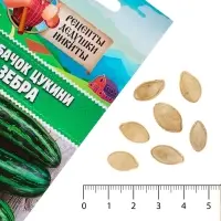 Семена Кабачок цукини "Зебра", 2 г