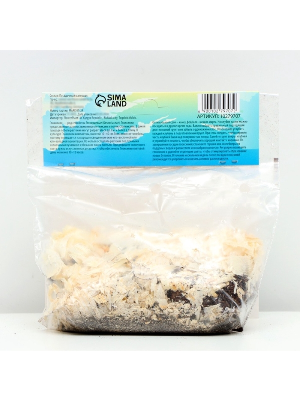 Глоксиния &laquo;Монт Бланк&raquo;, многолетник, комнатный, луковица в пакете с перфорацией, р-р 5/6, 2 шт.