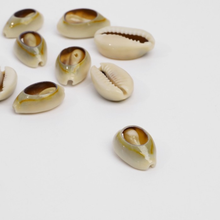 Бусина &laquo;Ракушка&raquo; 2&times;1 см, овальная, набор 10 шт., цвет коричневый