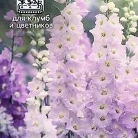 Семена цветов Дельфиниум "Джиневер культурный", ц/п,  0,05 г