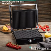 Гриль электрический T-EG350M01 с антипригарным ковриком