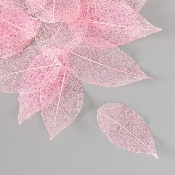 Листья скелетированные для творчества "Светло-розовые" набор 20 шт h=6-6,5 см