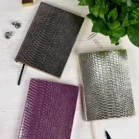 Ежедневник Anaconda, недатированный, серебристый