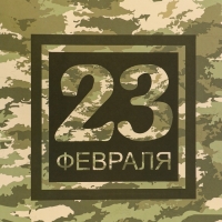 Пакет подарочный вертикальный &laquo;Камуфляж&raquo;,   ML 23 &times; 27 &times; 11.5 см