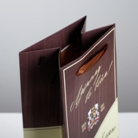 Пакет подарочный под бутылку, упаковка, &laquo;Поздравляю&raquo;, 35 х 13 х 10 см