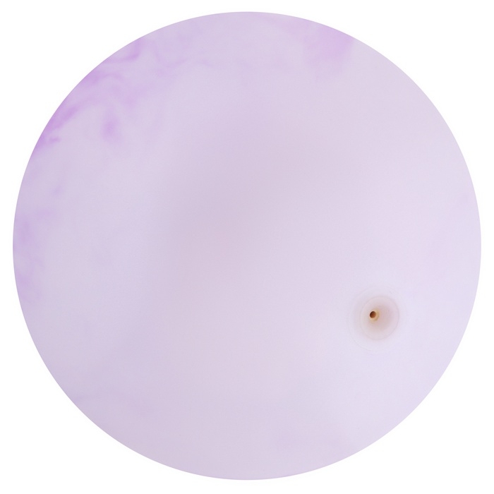 Мяч детский &laquo;Динозаврики&raquo;, d=25 см, цвет МИКС