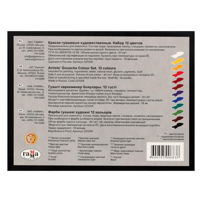 Гуашь художественная набор 12 цветов х 20 мл, Гамма "Модерн", 221026